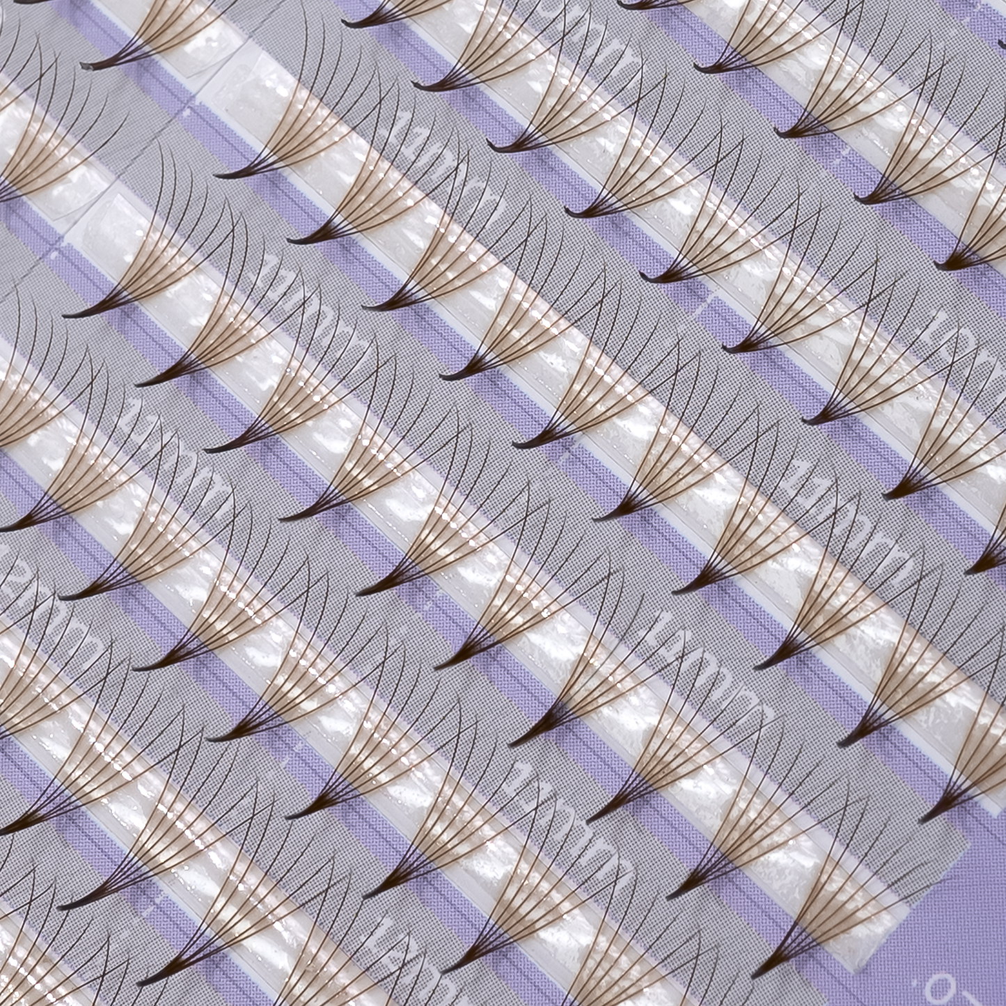 Color Premade Mixed