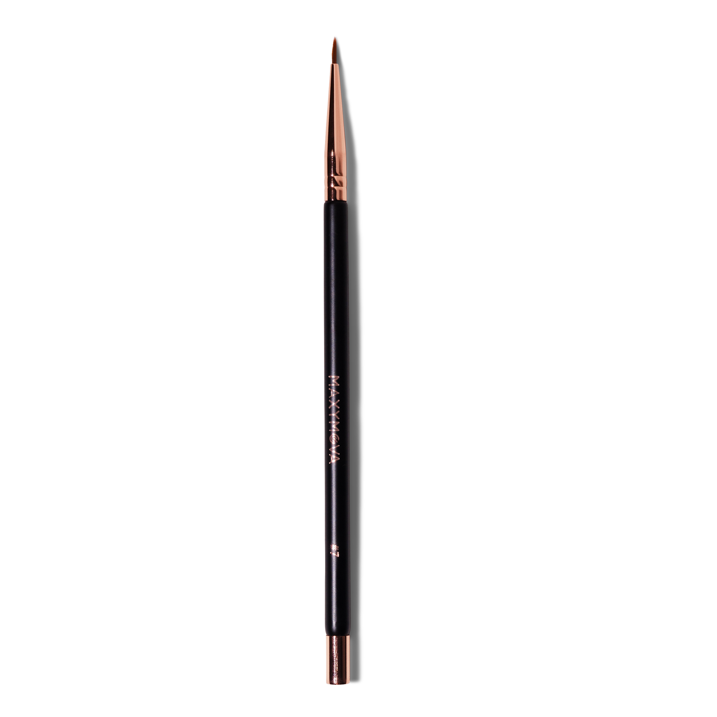 Magnetic Brush