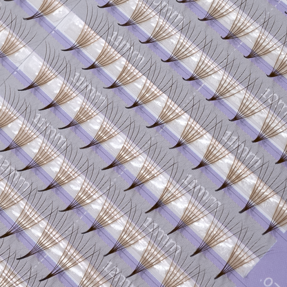 Color Premade Mixed