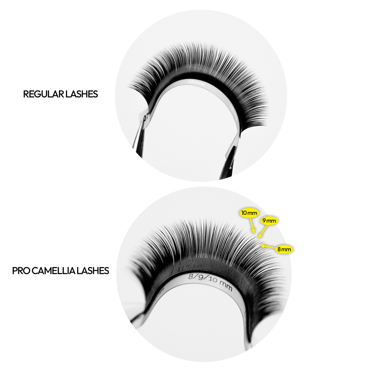 NUEVO Pro Camellia Lashes