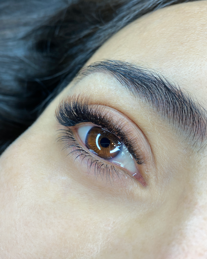 Double Tone Color Lashes